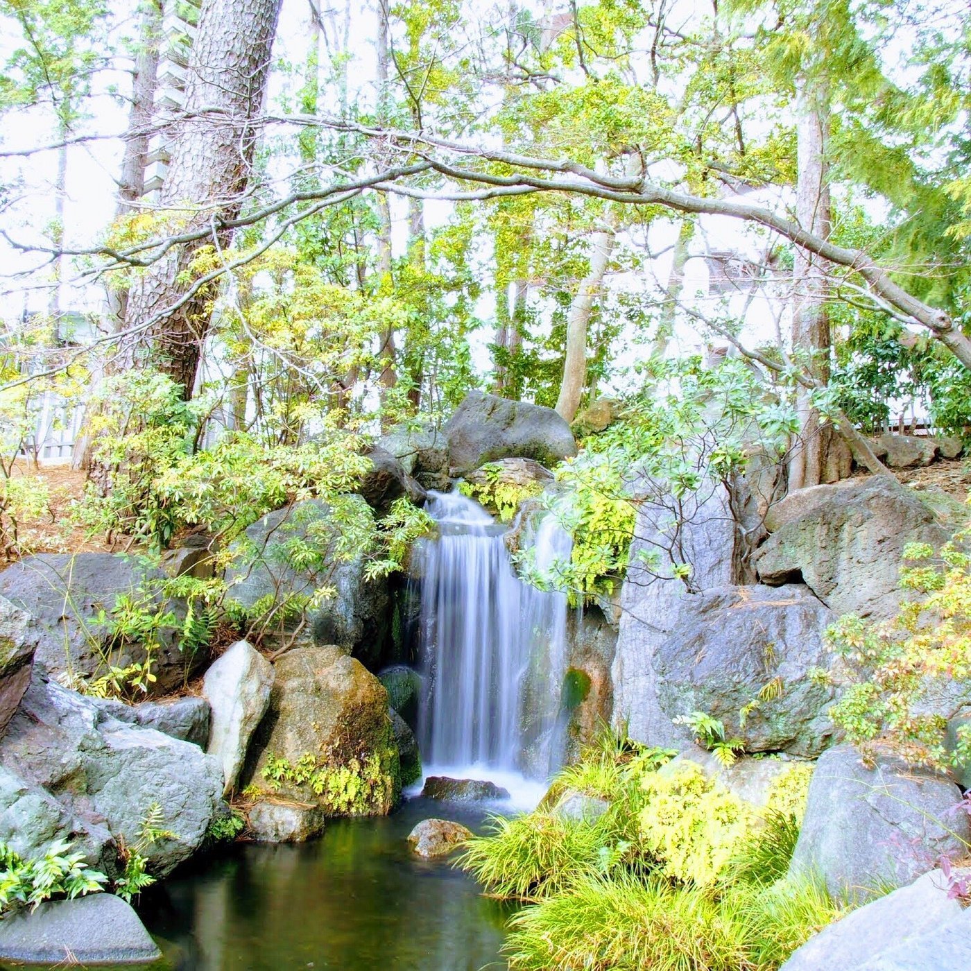 🏞️ 창포 늪 공원(쇼부누마 코엔) 이미지 7